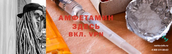 прущие грибы Балабаново