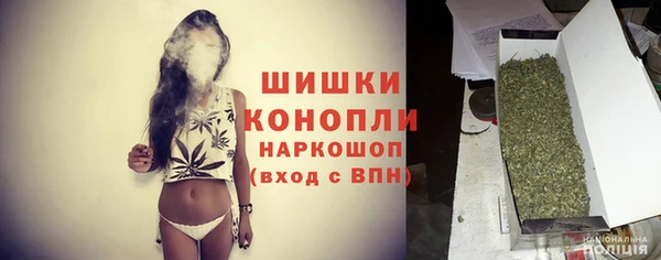 прущие грибы Балабаново