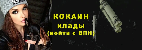 прущие грибы Балабаново