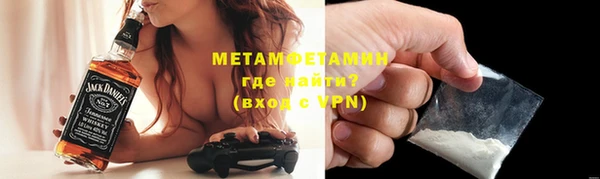 прущие грибы Балабаново