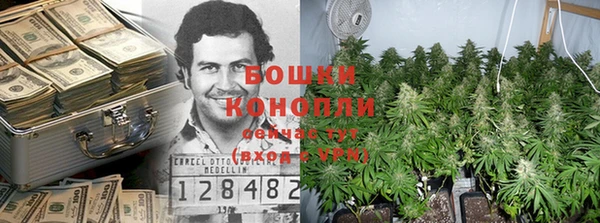 прущие грибы Балабаново
