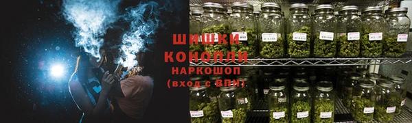 прущие грибы Балабаново